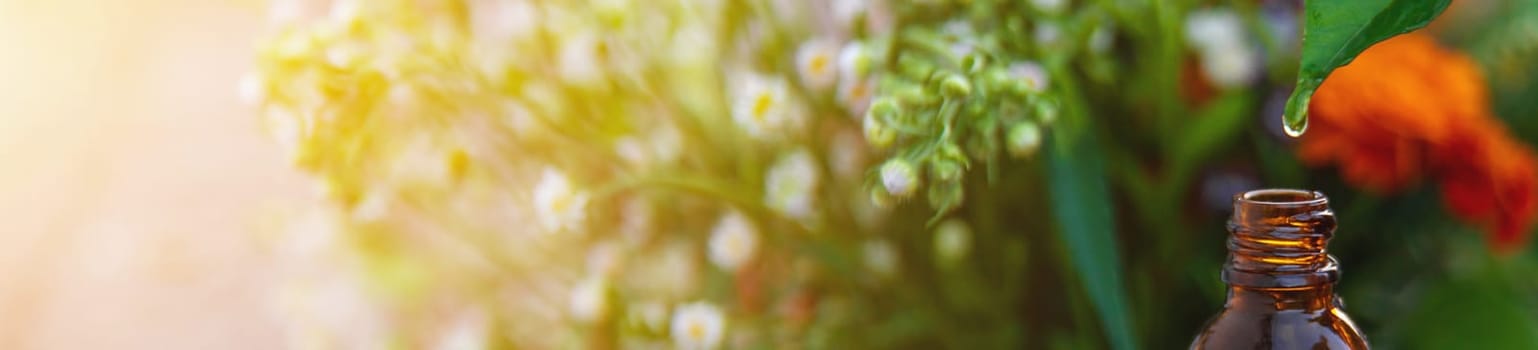 Essential oil of flowers and herbs drop. Selective focus. Nature.