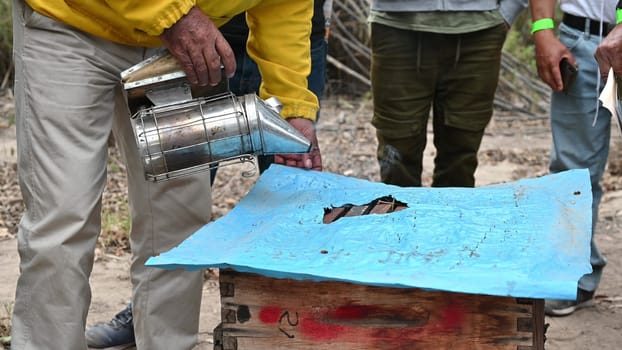 Beekeeper smoking bees with bee smoker on the apiary