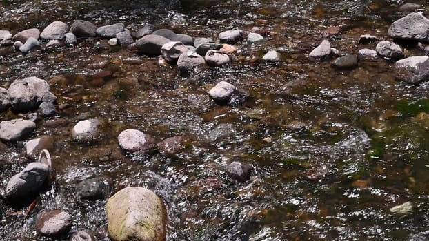 Clear stream running through stone rocks. Abundant river flowing on stone bottom. Wild mountain river water splashing in summer day.