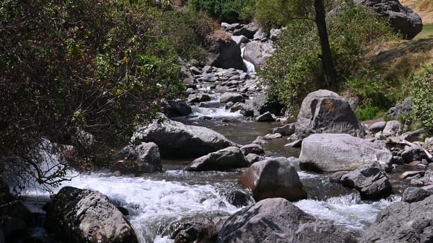 Clear stream running through stone rocks. Abundant river flowing on stone bottom. Wild mountain river water splashing in summer day.