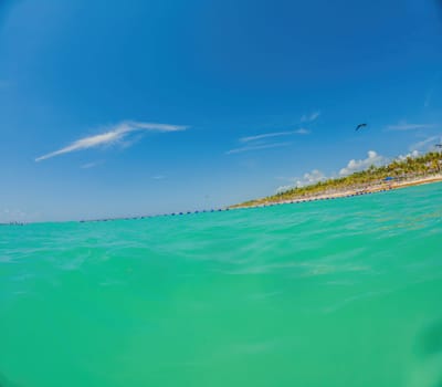 Playa del Carmen Quintana Roo Mexico 01. June 2021 beautiful Caribbean beach totally filthy and dirty the nasty seaweed sargazo problem in Playa del Carmen Quintana Roo Mexico.