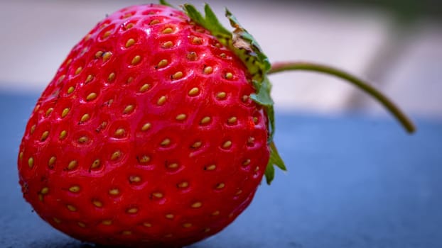 Close up of fresh strawberry showing seeds achenes. Details of a fresh ripe red strawberry.