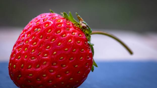 Close up of fresh strawberry showing seeds achenes. Details of a fresh ripe red strawberry.