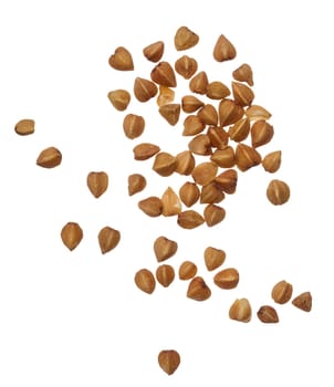Raw buckwheat grains on isolated background, close up