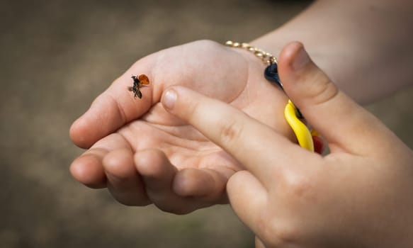 One Caucasian unrecognizable girl holds a flying ladybug in her palms, pointing at it with her finger on a summer day in a public park, side view close-up.