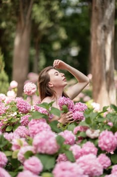 Hydrangeas Happy woman in pink dress amid hydrangeas. Large pink hydrangea caps surround woman. Sunny outdoor setting. Showcasing happy woman amid hydrangea bloom