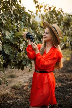 portrait of a happy woman in the summer vineyards at sunset. woman in a hat and smiling