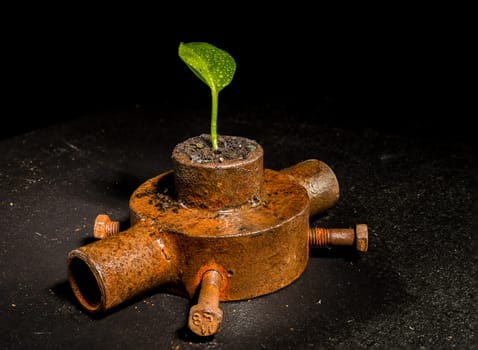 Creative still life with old rusty iron bushing and green leaf on a black background