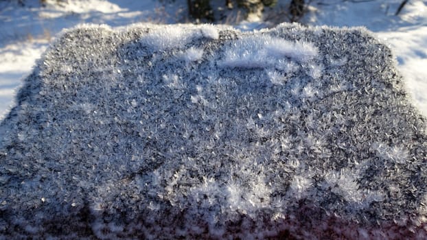 Snow crystals on the frozen coast of Northern Europe during a sunny morning.