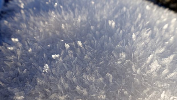Snow crystals on the frozen coast of Northern Europe during a sunny morning.