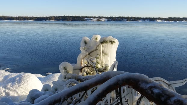 Frozen trees and plants on the coast of Northern Europe during a sunny morning.