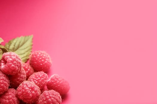 Fresh raspberries with green leaves on pink background