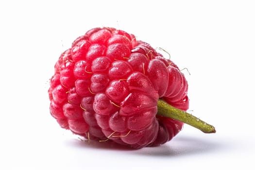 Close-up of a single ripe raspberry