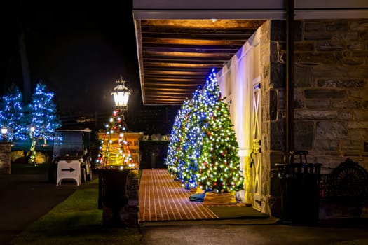 Festive Outdoor Corridor Featuring Lit Christmas Trees, A Traditional Lamp Post, And A Cone-Shaped Tree Made Of Lights, Inviting A Warm Holiday Atmosphere In The Evening.