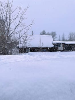 Quaint house standing as a solitary figure, blending seamlessly into the wintry landscape. Vertical photo