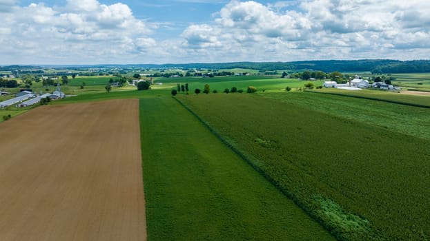 Bird's-Eye View Of Diverse Crop Fields In Shades Of Brown And Green, With A Tree Line Dividing Them, Overlooking A Rural Landscape With Farm Buildings And A Cloudy Blue Sky Above.