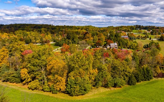 An Aerial View of a Colorful Autumn Forest on a Sunny Fall Day