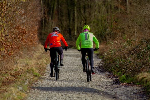 Two people cycling on a forest trail lined with trees. High quality