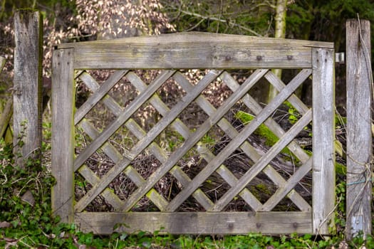 A wooden gate with a lattice design is in the middle of a forest. High quality.