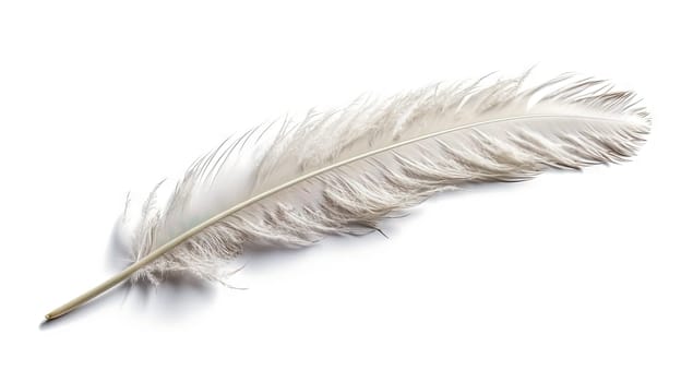Bird feather on white background. Beautiful bird plumage or wing element, isolated smooth feather. Generated AI