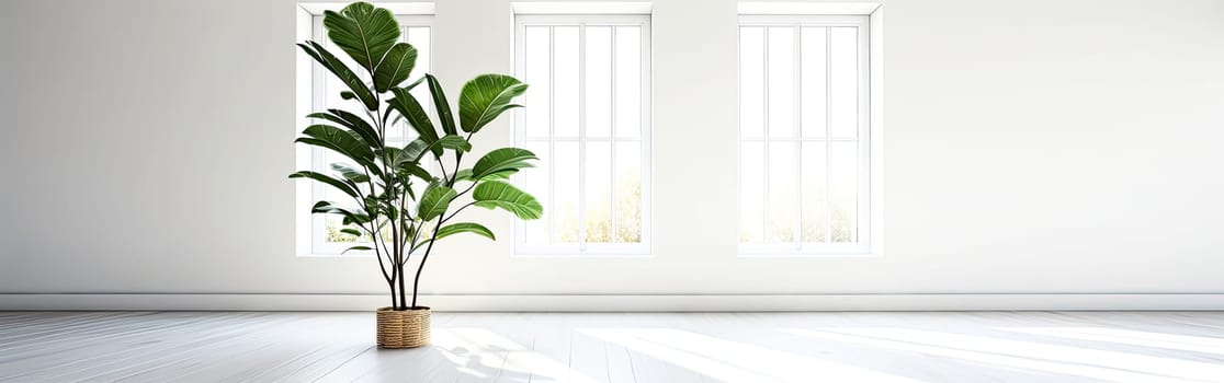 A large indoor tropical plant thrives in a bright room, adding a touch of greenery and freshness to the space with ample room for text.