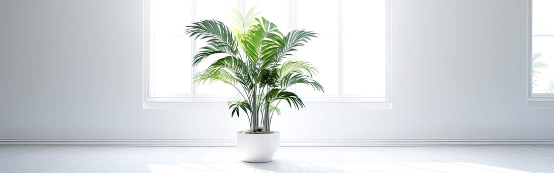 A large indoor tropical plant thrives in a bright room, adding a touch of greenery and freshness to the space with ample room for text.