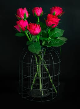 Pretty red-pink roses decorative on a cage on Dark background for Valentine's Day. Symbol of Love, Space for text, Selective focus.
