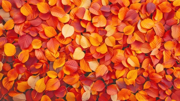 Vibrant fall foliage display. Created using AI generated technology and image editing software.