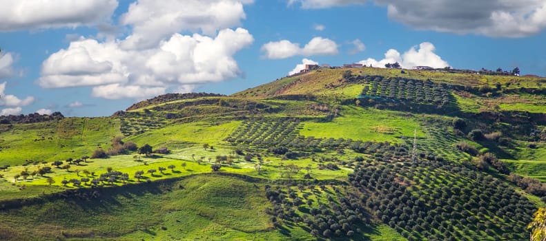 beautiful mountain hills with houses and rows of trees. 