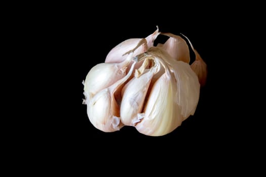 garlic bulb isolated on black background, healthy spice