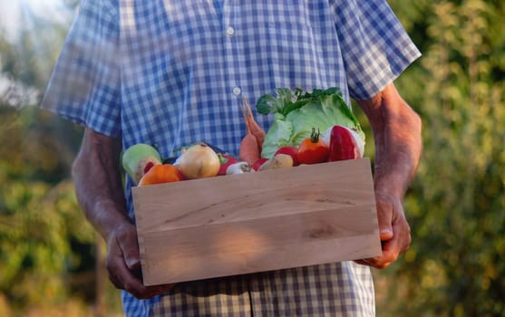 a male farmer holds a box of vegetables