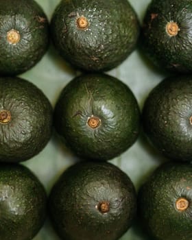 A top view close-up of ripe avocados in a grid pattern, highlighting their green textured skins