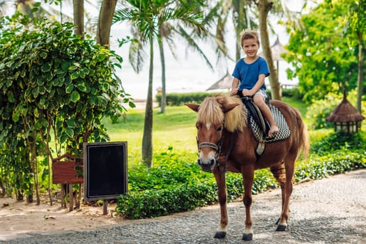 Blond boy riding horse in hotel park on the beach. Sunny summer day happy childhood.