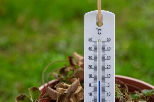 White thermometer on a green background. High quality photo