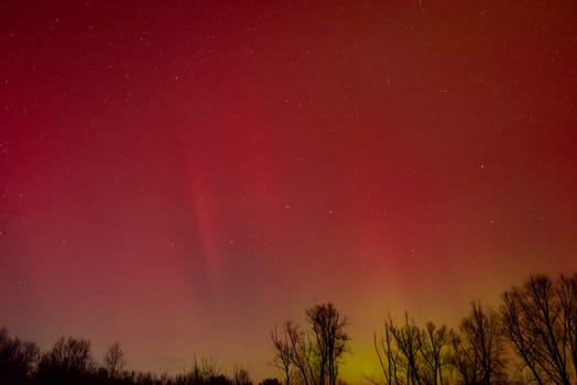 Vivid red northern lights in the sky