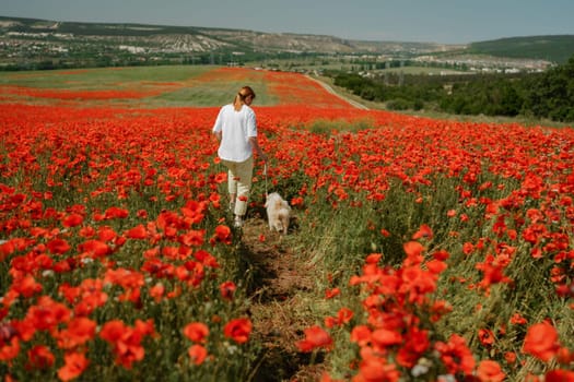 woman with dog. Happy woman walking with white dog along a blooming poppy field on a sunny day. On a walk with dog.