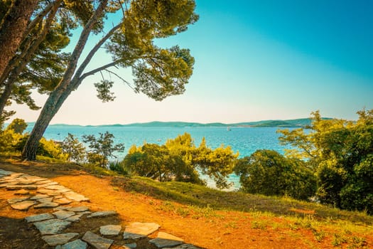 Beautiful display of sun, sea and pine trees on the Croatian coast, pine trees and sea view, crystal clear waters of the Adriatic Sea, Ugljan island in the background