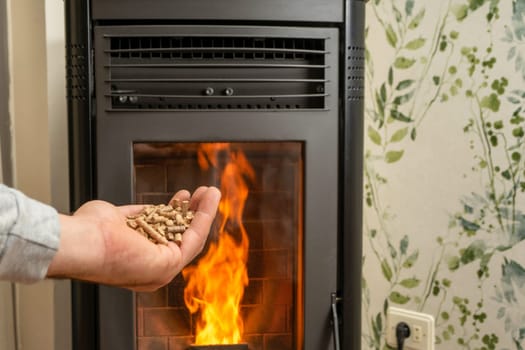Man's hand holding pellets in front of the glass of a stove with a beautiful flame, sustainable and ecological heating.