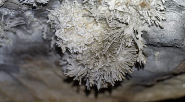 Up-close photo of intricate calcite crystals inside a cave, displaying natural beauty.
