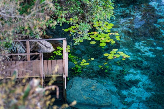 "A crystal-clear pond with a wooden deck, nestled amid lush greenery, viewed from above."