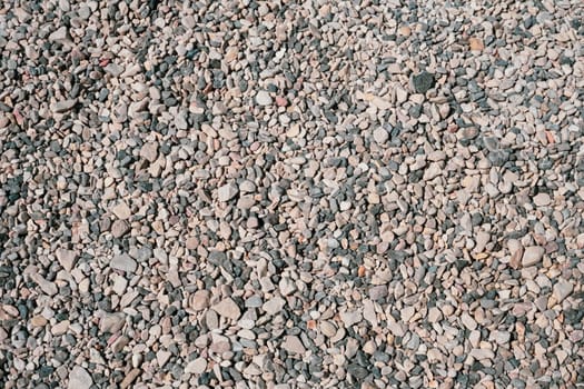 Fine pebbles on the beach on a sunny day