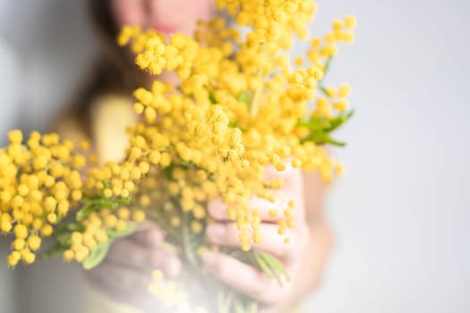 Soft focus close-up hand of young girl or woman holds yellow brunch of mimosa flowers. 8 march women's day concept.