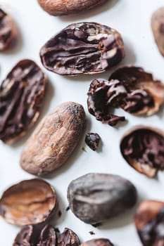 Closeup cocoa roasted beans. Shallow dof.