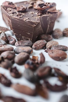 Cocoa beans with chocolate on a white background. Shalllow dof. Top view