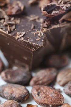 Cocoa beans with chocolate on a white background. Shalllow dof. Top view