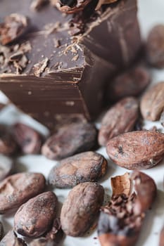 Cocoa beans with chocolate on a white background. Shalllow dof. Top view