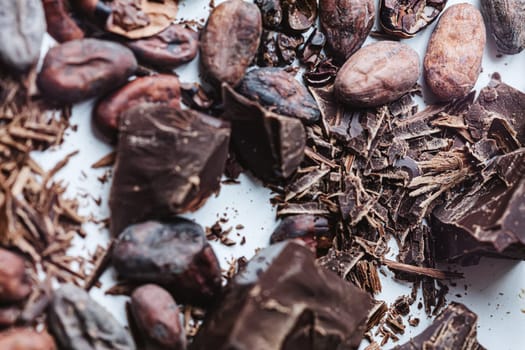 Cocoa beans with chocolate on a white background. Shalllow dof. Top view