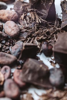 Cocoa beans with chocolate on a white background. Shalllow dof. Top view