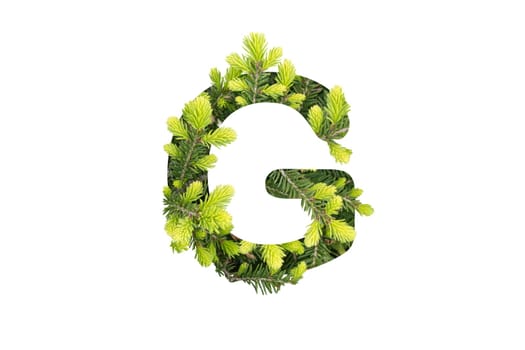 letter G made from green pine needles isolated on white, alphabet