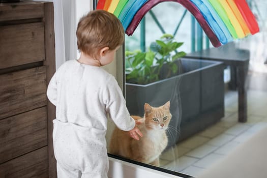 A red cat sits on the balcony during quarantine and the child wants to play with him. Rainbow on a window.